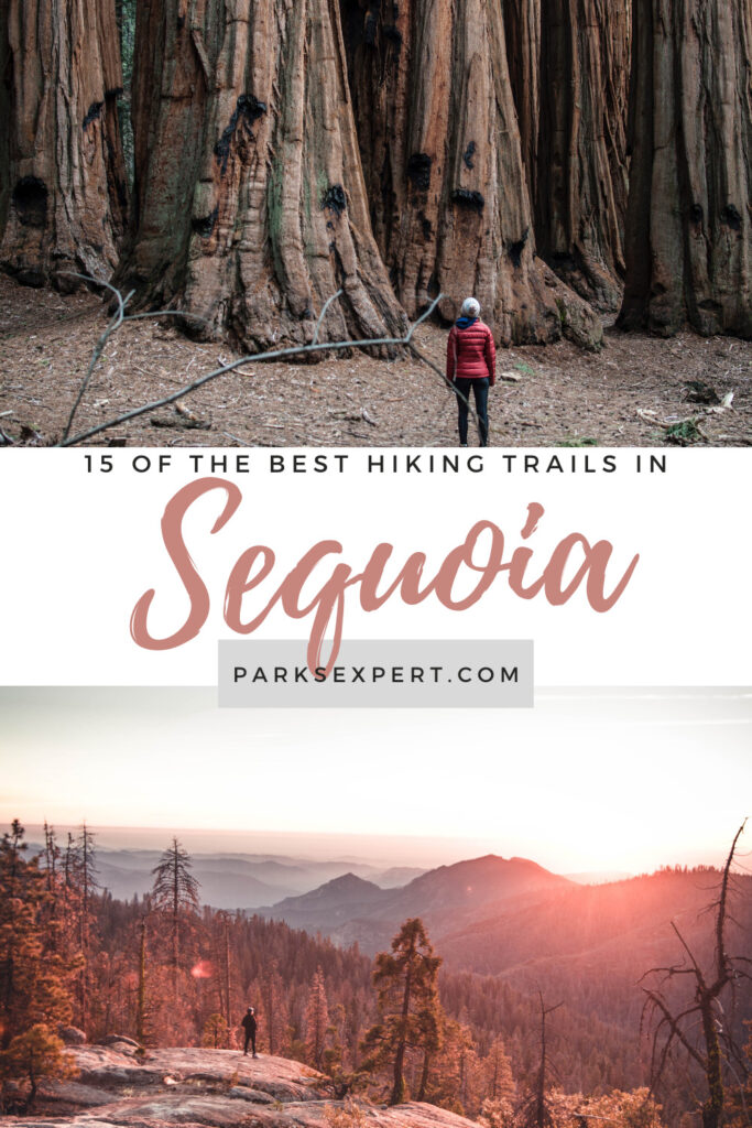 15 Best Hikes in Sequoia National Park That Will Inspire You 37 A list of the best hikes in Sequoia National Park, including everything from the High Sierras to the world's largest trees, and a list of every park trail! Best Hikes in Sequoia National Park | Best Hikes Sequoia National Park #sequoianationalpark #hiking #california #usa #nationalparks
