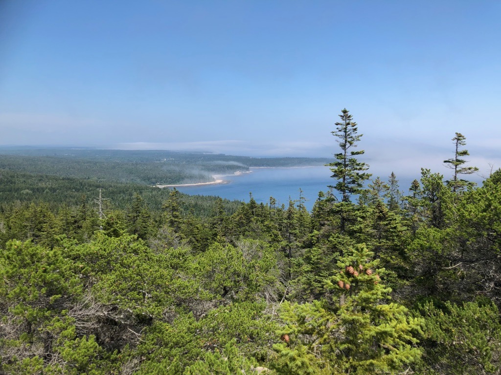 15 of the Best Hikes in Acadia National Park: Exploring Mount Desert Island 6 Overlooking the ocean and green forest on one of the best hikes in Acadia