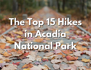 Hiking 3 An image of orange and brown leaves on a boardwalk. Over the image, white text with a black shadow reads "The Top 15 Hikes in Acadia National Park"