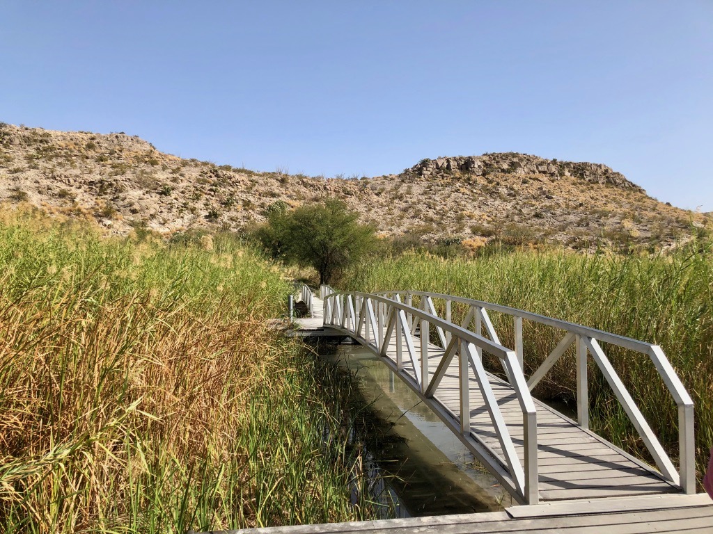 How to Spend 3 Days in Big Bend National Park: Itinerary 25 A metal bridge leads through tall grass