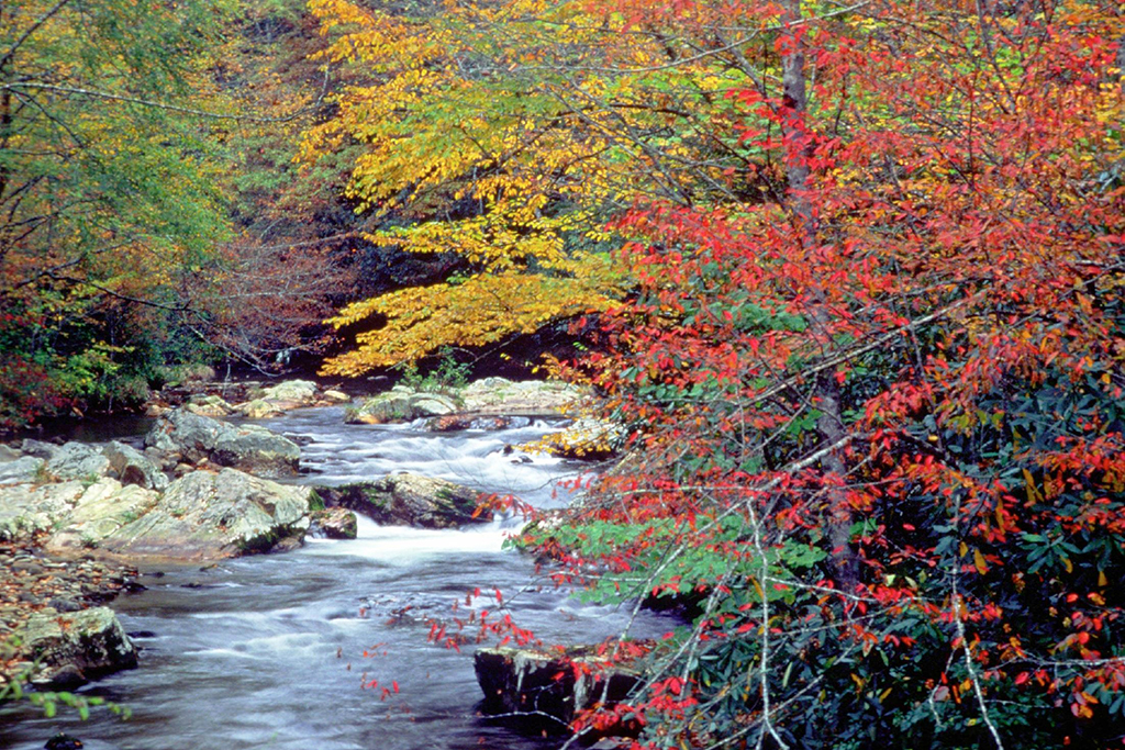 Camping in Great Smoky Mountains National Park: The Ultimate Guide to All 9 Campgrounds 10 Fall colors over Cataloochee Campground in Great Smoky Mountains National Park
