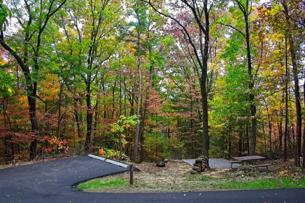 Camping in Great Smoky Mountains National Park: The Ultimate Guide to All 9 Campgrounds 13 Green trees start transitioning into their fall colors of red and yellow around a campsite