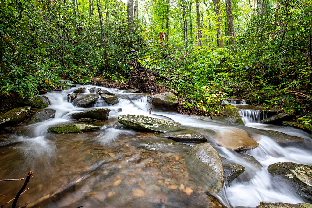 Camping in Great Smoky Mountains National Park: The Ultimate Guide to All 9 Campgrounds 8 A creek view while camping in Great Smoky Mountains National Park