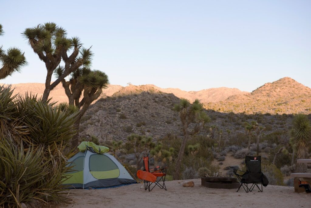 Camping in Joshua Tree National Park: The Ultimate Guide to All 9 Campgrounds 7 A tent and chair set up by a fire ring below a Joshua tree with fantastic views of a mountainous desert landscape. This is one of the best campgrounds in Joshua Tree National Park.
