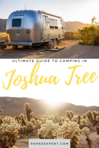 Camping in Joshua Tree National Park: The Ultimate Guide to All 9 Campgrounds 21 It can be challenging to decide where to stay when camping in Joshua Tree National Park, but this ultimate guide to all 9 campgrounds makes it easy. | camping in joshua tree national park | joshua tree campgrounds | joshua tree camping | #joshuatree #joshuatreenationalpark