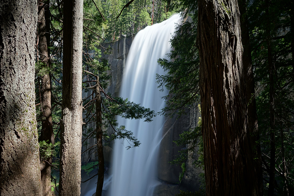 8 of the Best Hikes in Yosemite National Park for Breathtaking Views 30 Surrounded by green foliage, Vernall Fall, , one of the best hikes in Yosemite National Park, cascades down