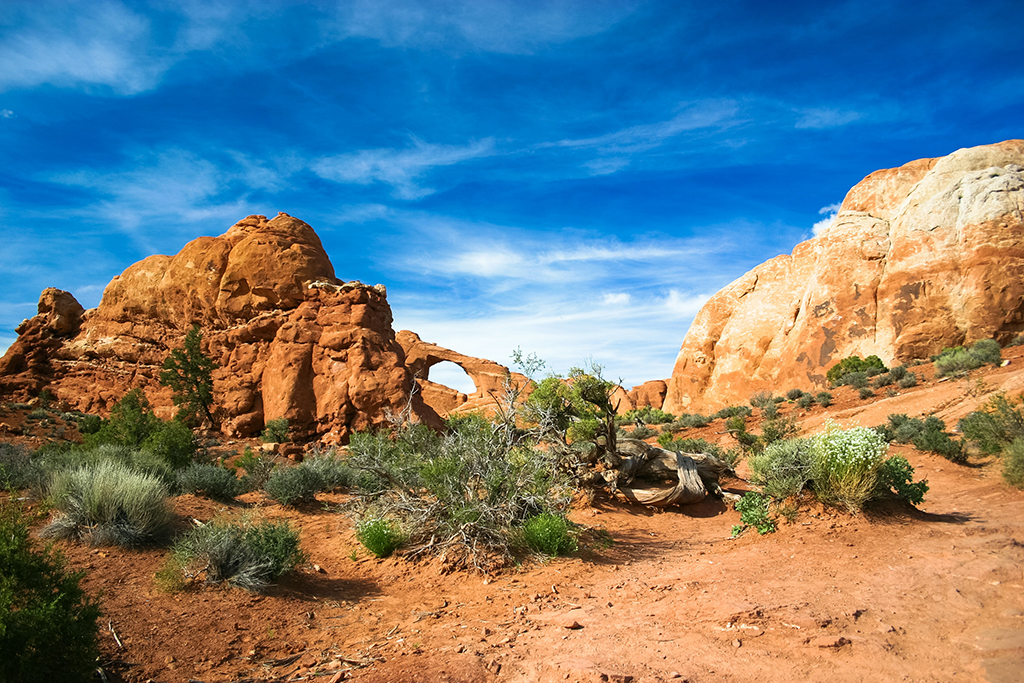 List of US National Parks in Alphabetical Order (All 400+!) 1 A natural rock arch below a blue sky