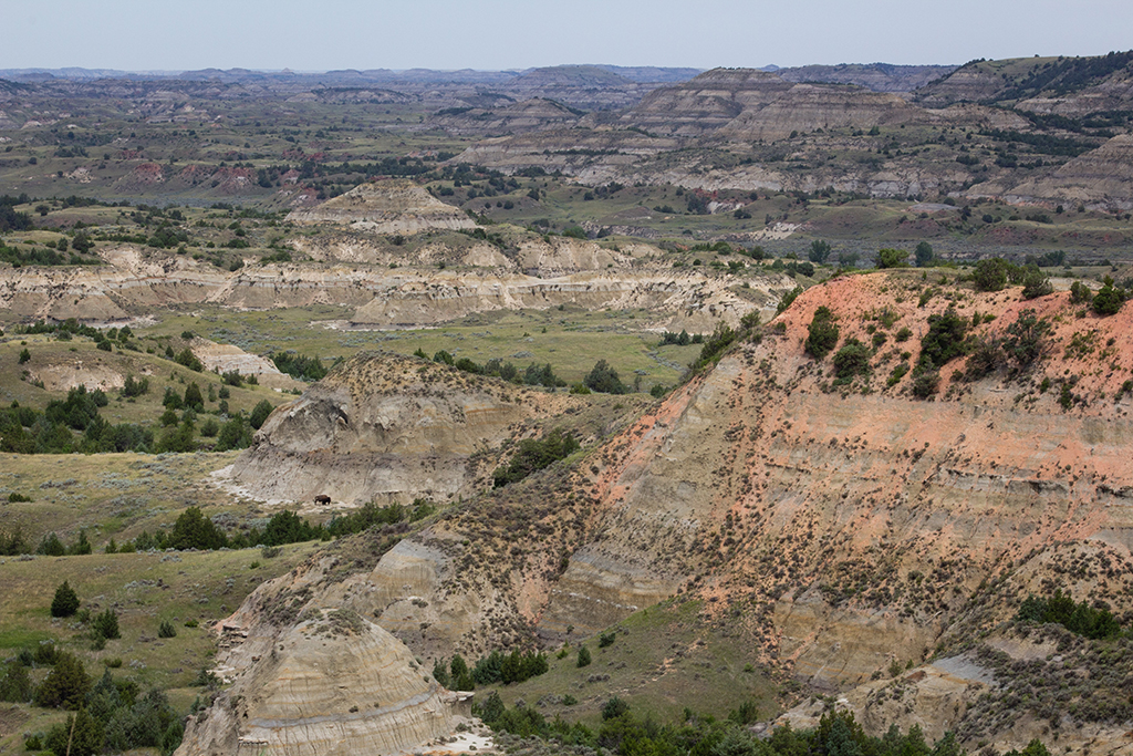 List of US National Parks in Alphabetical Order (All 400+!) 36 Mounds of dirt form badlands with green grass below