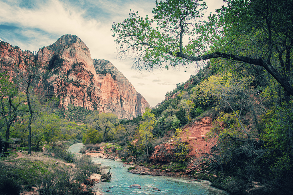 List of US National Parks in Alphabetical Order (All 400+!) 41 Trees frame the image of a blue river winding through an orange canyon