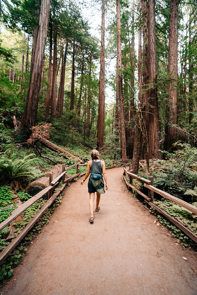 How to Plan the Perfect Trip to Muir Woods National Monument 4 A woman hiking alone through Muir Woods