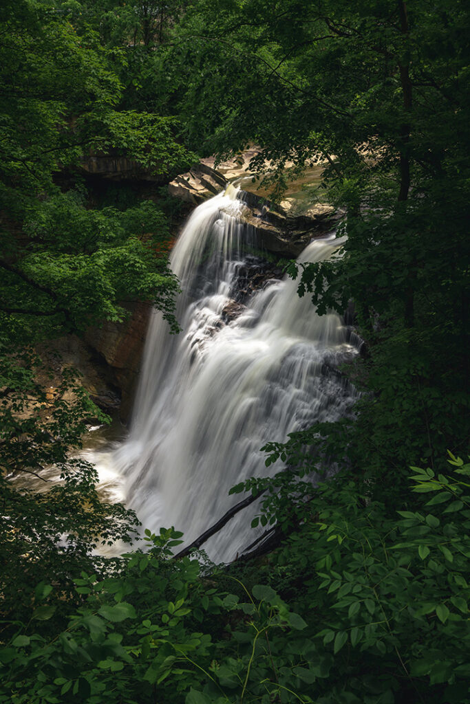 List of National Parks by State: A Complete List of All 400+ US National Parks 9 A small waterfall visible through the trees