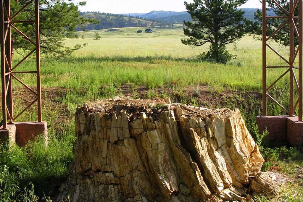 12 Breathtaking National Parks in Colorado 15 A fossilized redwood stump in the foreground and the Florissant valley, marvelously green, in the background