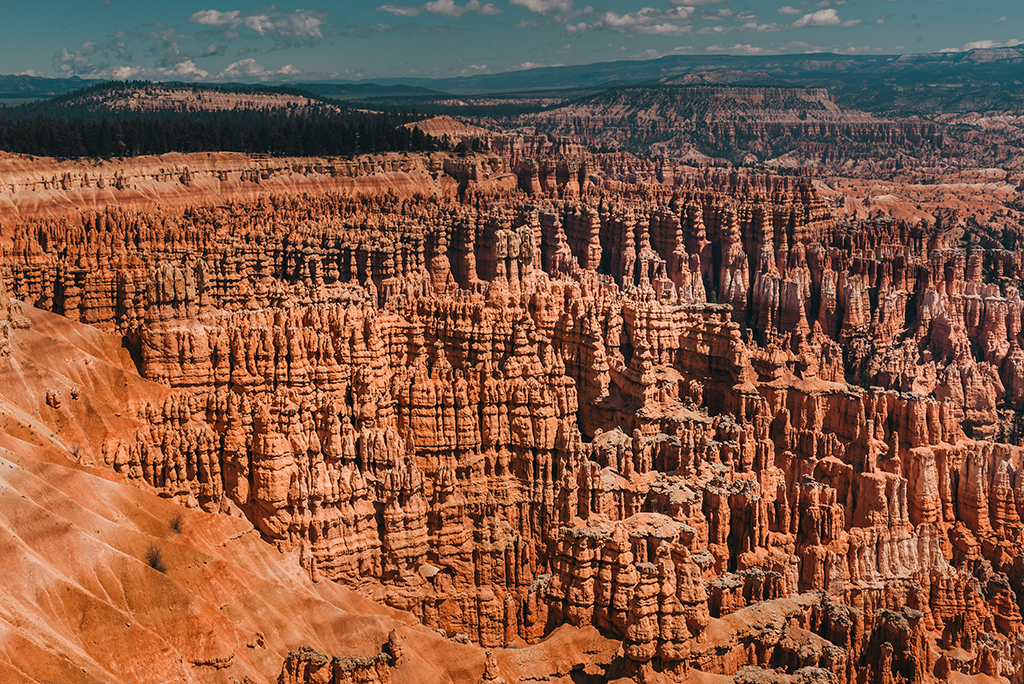 13 Unbelievable National Parks in Utah 27 Orange rock spires rise from canyon walls and floors at Bryce Canyon, one of the national parks in Utah
