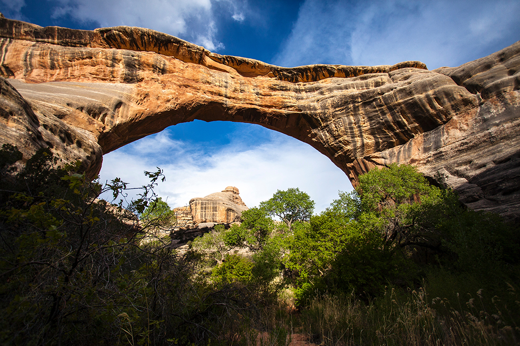 13 Unbelievable National Parks in Utah 74 A natural rock bridge frames the trail below in Natural Bridges, one of the national parks in Utah