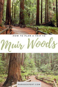How to Plan the Perfect Trip to Muir Woods National Monument 10 Our Expert guide will help with everything you need to know about Muir Woods reservations, hiking, and more.