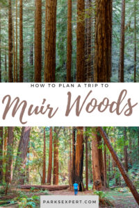 How to Plan the Perfect Trip to Muir Woods National Monument 11 Our Expert guide will help with everything you need to know about Muir Woods reservations, hiking, and more.