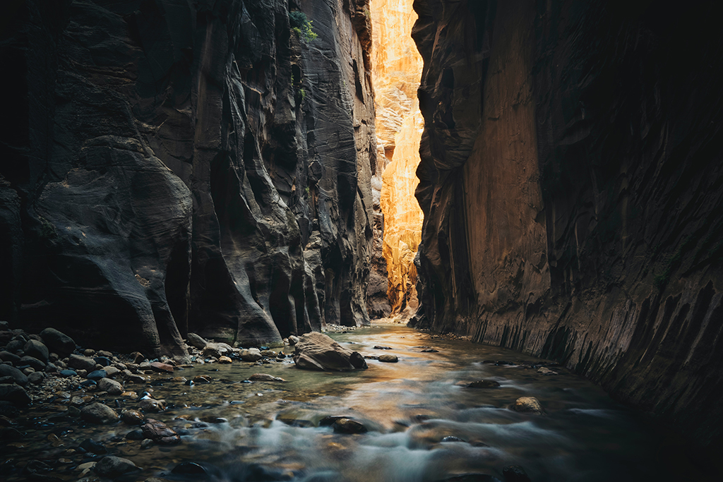 Zion Shuttle: How to Plan a Stress-Free Trip 3 A shallow river between walls of a dark canyon