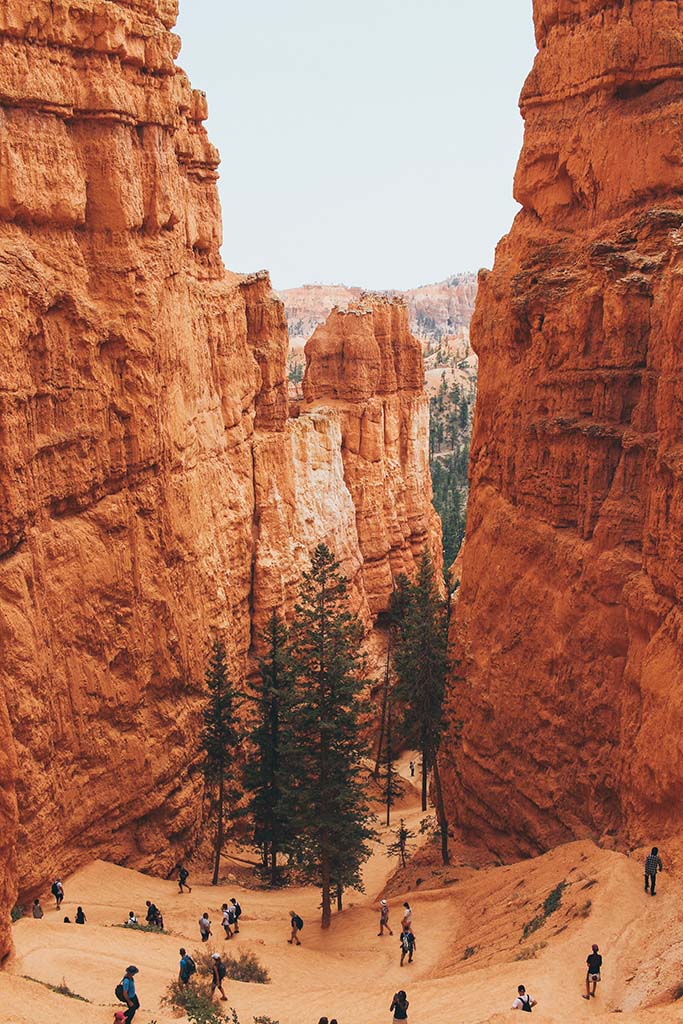 12 Beautiful Hikes in Bryce Canyon National Park 4 A group of hikers descend on a trail