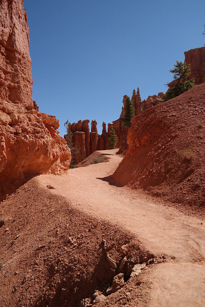 12 Beautiful Hikes in Bryce Canyon National Park 2 An empty hiking trail in Bryce Canyon National Park