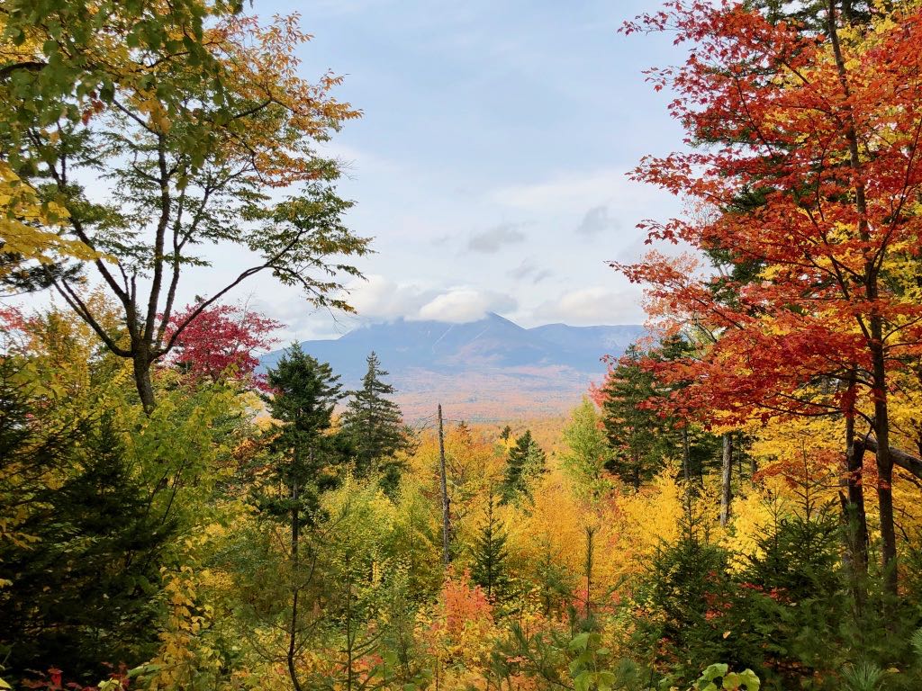 4 Phenomenal National Parks in Maine 36 Clouds roll over a mountain top seen between groups of trees with red and yellow folliage