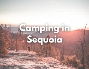 Camping 3 A hiker stands on a rock during sunset. Over the image, there is white text that says "Camping in Sequoia"
