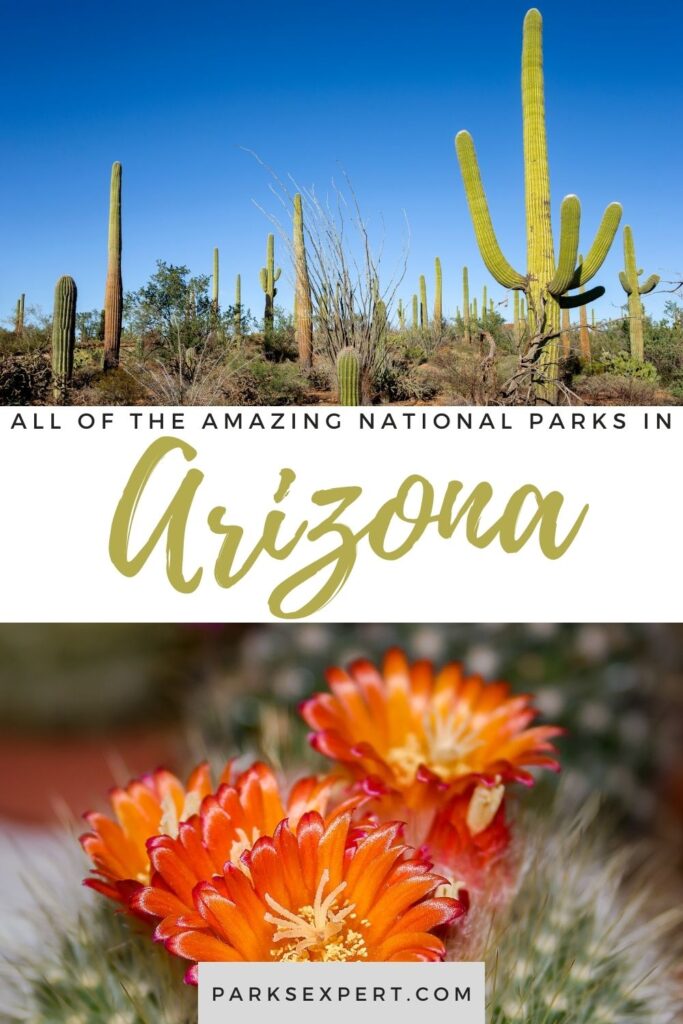 22 Amazing National Parks in Arizona 64 Did you know there are 22 national parks in Arizona? Click here for the list, including things to do and how to get to each of the Arizona national parks.