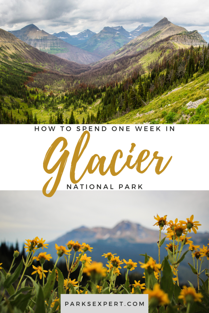 The Perfect 7-Day Glacier National Park Itinerary 63 Glacier is one of the most beautiful places in the world. If you’re planning a trip, this Glacier National Park itinerary will help you plan and maximize your time!