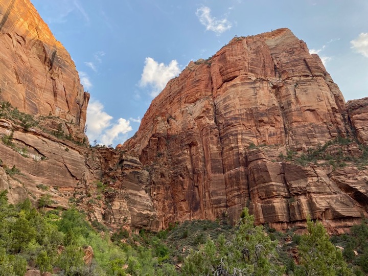 Perilous But Worth It: How to Safely Conquer the Angels Landing Hike in Zion National Park 8 Hikers climb switchbacks leading to the top of an orange rock formation called Angels Landing