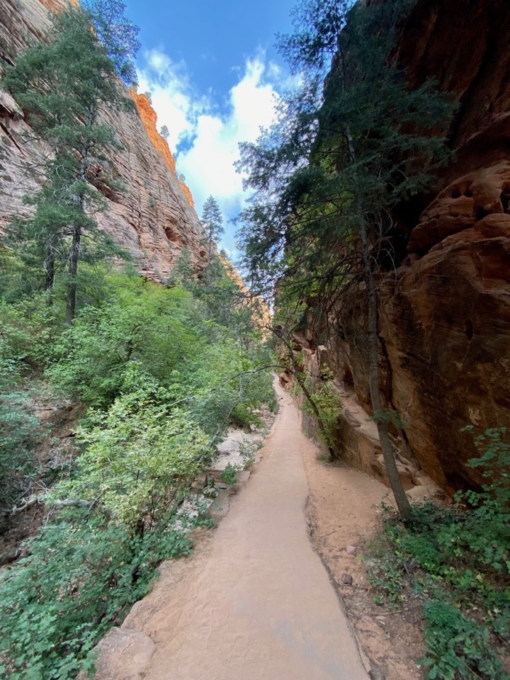 Perilous But Worth It: How to Safely Conquer the Angels Landing Hike in Zion National Park 32 A paved walkway through a green and orange canyon