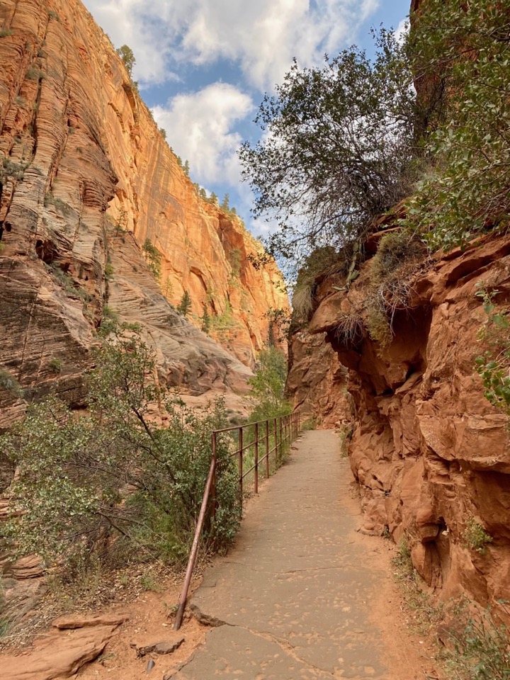 Perilous But Worth It: How to Safely Conquer the Angels Landing Hike in Zion National Park 7 A paved walkway through a green and orange canyon
