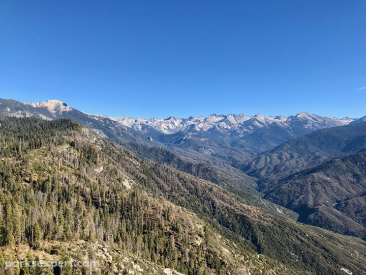 Hiking Moro Rock Trail: A View Worth the Grueling Climb 5 Aerial views of a green forest with snow-capped mountains in the distance