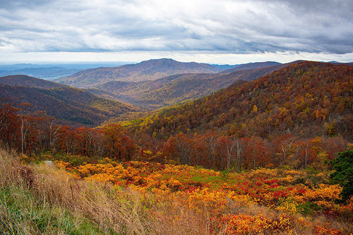 Fall colors in the mountains of Shenandoah National Park