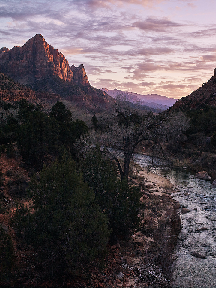 One Day in Zion: 4 Ways to Spend an Epic 24 Hours in Zion National Park 35 Purple sunlight over the Watchman in Zion