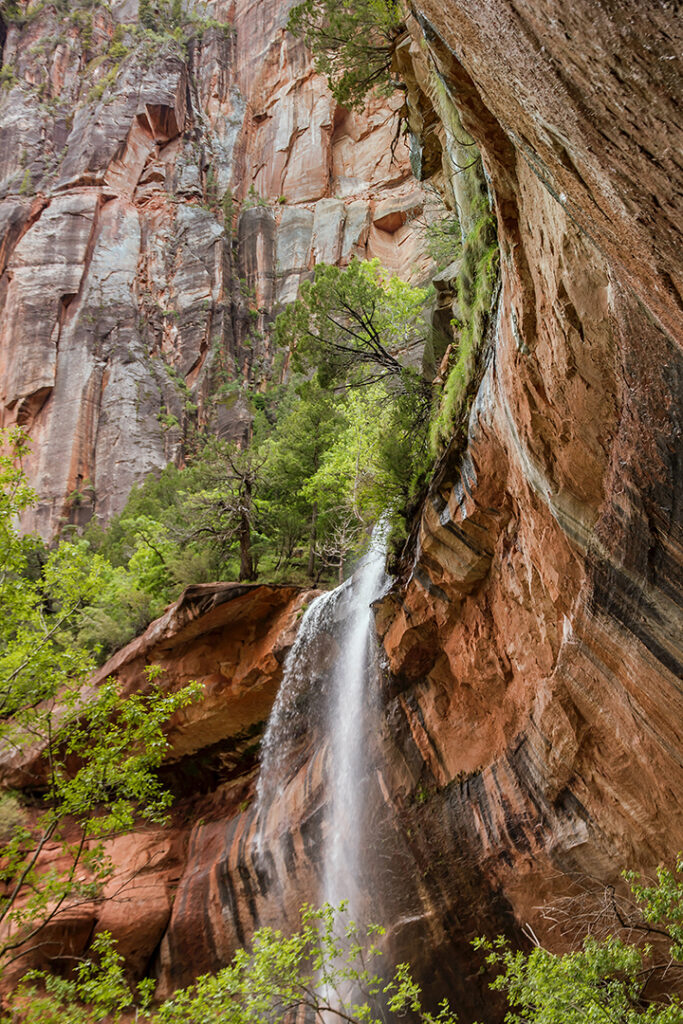 One Day in Zion: 4 Ways to Spend an Epic 24 Hours in Zion National Park 33 Small waterfalls cascade over rock ledges