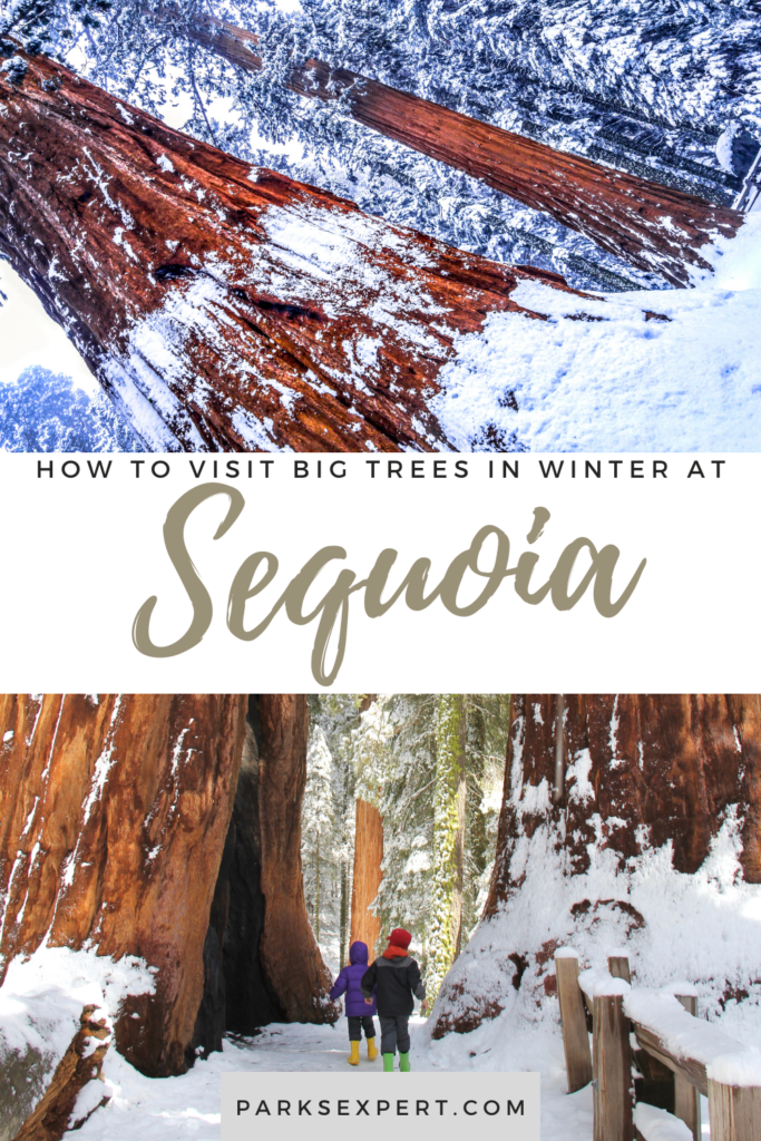 Visiting Sequoia National Park in Winter: The Ultimate Guide 32 This guide to visiting Sequoia National Park in winter includes everything you should know about chain restrictions, things to do in the snow, and more!