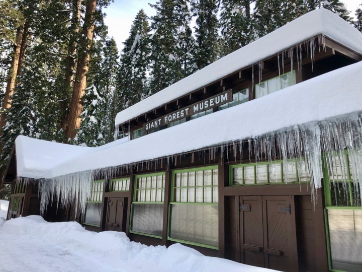 Visiting Sequoia National Park in Winter: The Ultimate Guide 5 Icicles cascade down from the Giant Forest Museum in Sequoia National Park