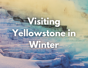 Yellowstone National Park 6 Rainbow hues appear over a hot spring. Text on the image reads "Visiting Yellowstone in Winter"