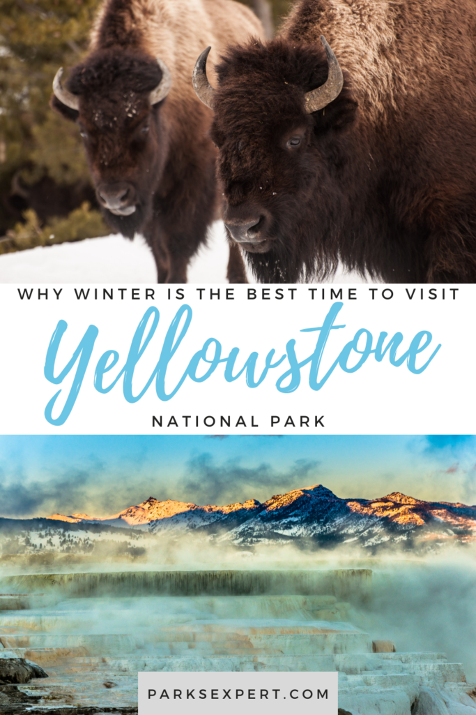 Yellowstone in Winter: Everything You Need to Know for A Spectacular Trip 47 Planning a trip to Yellowstone in winter can be daunting. Here’s a guide to help you understand the who, what, when, where, why, and how of Yellowstone National Park.
