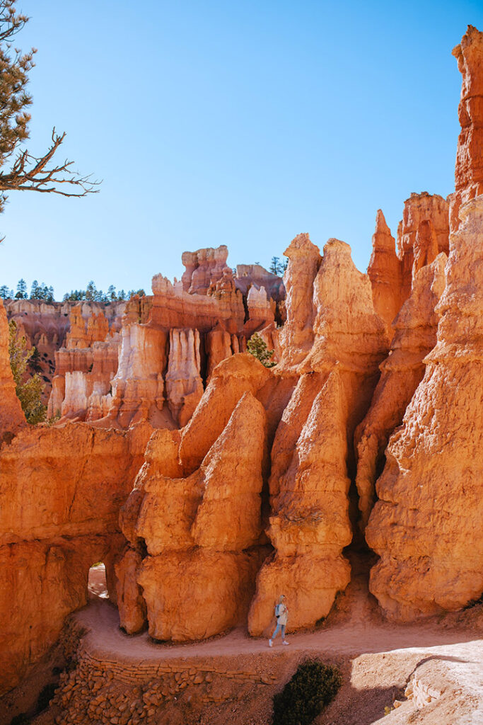 20 Fun Things to Do in Bryce Canyon National Park 43 A lone hiker enjoys a trail, one of the best things to do in Bryce Canyon National Park