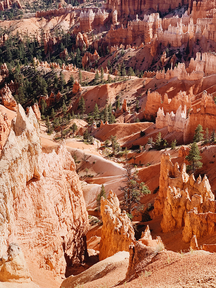 20 Fun Things to Do in Bryce Canyon National Park 41 A view of hoodoos and switchbacks in Bryce Canyon National Park