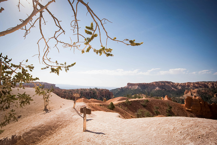 20 Fun Things to Do in Bryce Canyon National Park 3 Trail markers along the rim of a canyon