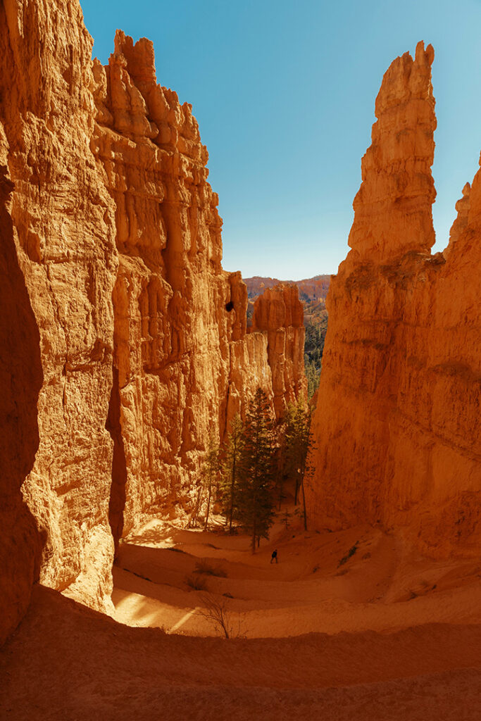 20 Fun Things to Do in Bryce Canyon National Park 22 Tall orange rock walls frame a trail of switchbacks