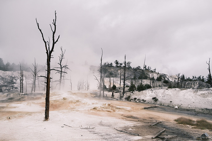 Yellowstone in Winter: Everything You Need to Know for A Spectacular Trip 22 Fog seen over a geyser basin in Yellowstone National Park in winter