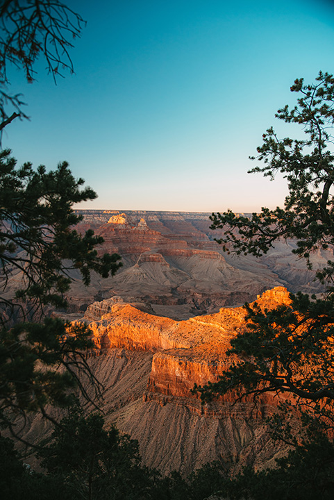 13 Inspiring Things to Do in Grand Canyon National Park 8 Green pine trees frame the Grand Canyon as the sun casts an orange light on canyon walls