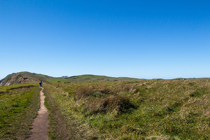 20 Incredible Things to Do in Point Reyes National Seashore 18 A dirt path carved through green grass beneath a perfect blue sky