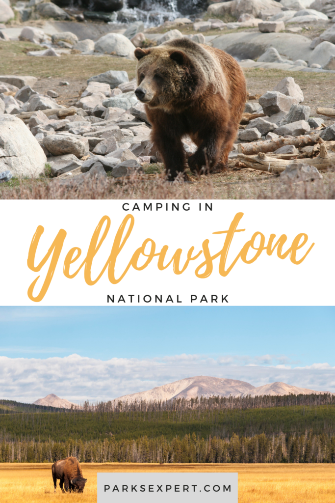Yellowstone Camping Guide: A Comprehensive Breakdown of the 12 Campgrounds in Yellowstone National Park 38 A comprehensive guide of everything you need to know about Yellowstone camping. Includes tips for reservations, where to camp in Yellowstone, and what to expect.