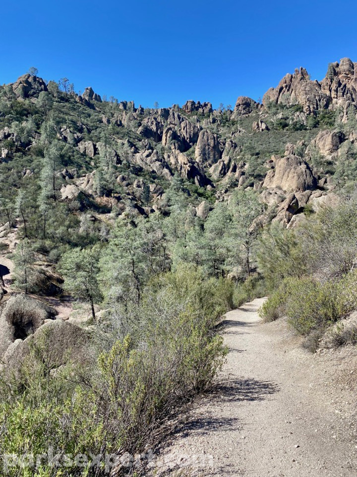 14 Phenomenal Things to Do in Pinnacles National Park 13 A trail meanders through green grasses toward the high peaks of Pinnacles National Park