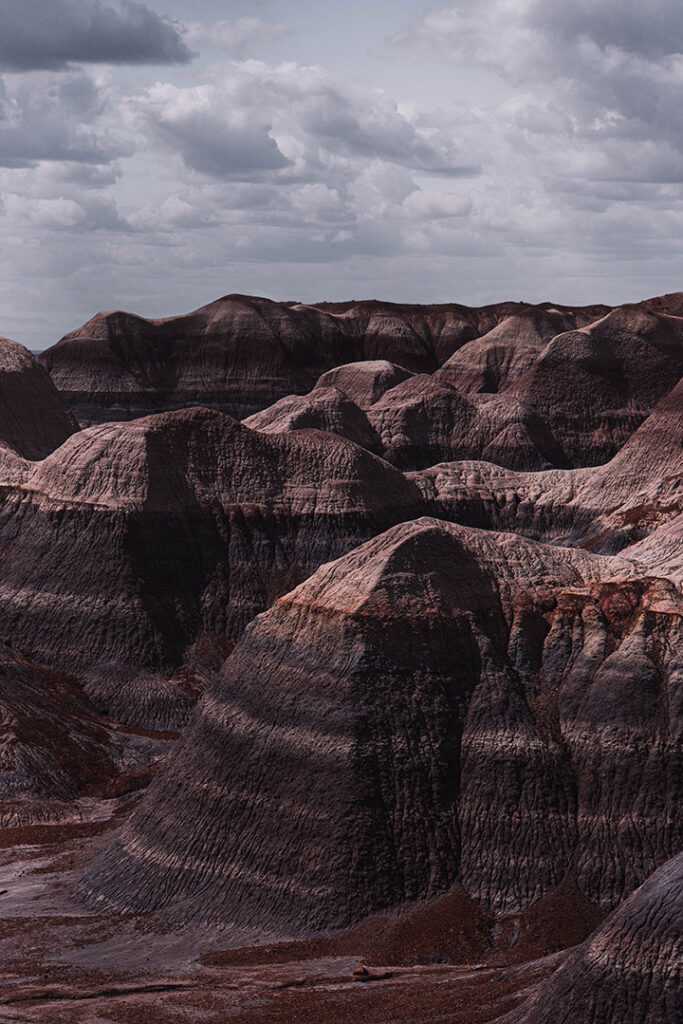 How to Spend One Day in Petrified Forest National Park Itinerary 2 Badlands covered in hues of pink and red seen while spending one day in Petrified Forest National Park