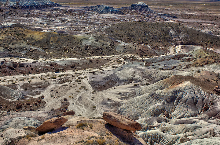 How to Spend One Day in Petrified Forest National Park Itinerary 4 A dirt path through badlands seen while spending one day in Petrified Forest National Park