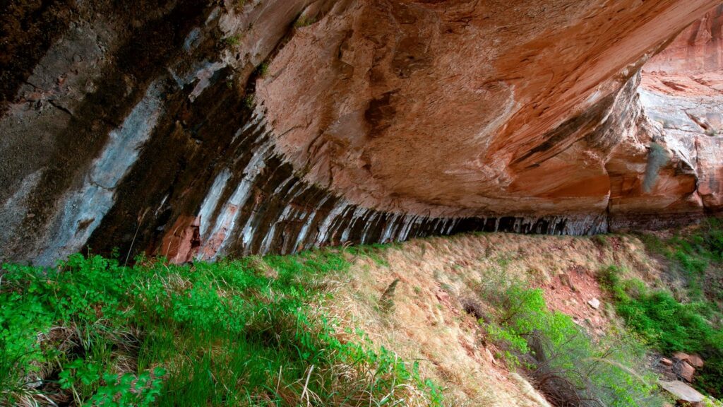 The 15 Best Hikes in Canyonlands National Park: A Comprehensive Guide 35 Moss on canyon walls with small cascades of water